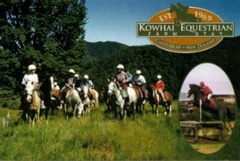 Kowhai Farm Stay New Zealand B&B